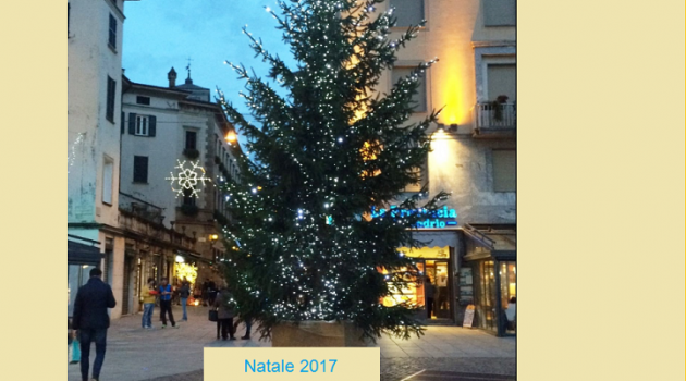 L'abete di Sondrio