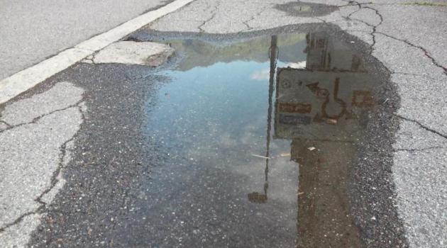 Via Bernina, per ora non ci sono ancora pesci