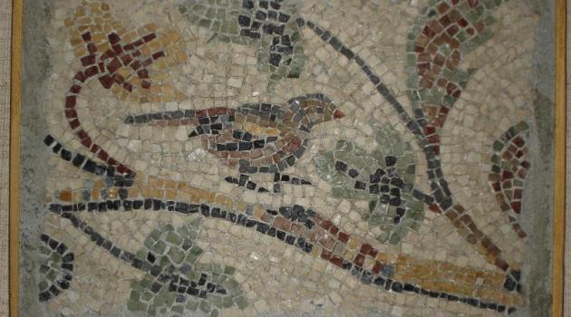 Mosaico di Floriana Palmieri