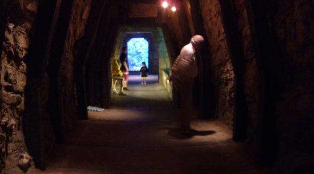 L'uscita dal tunnel. Il bimbo aspetta, l'altro, ahimè, guarda altrove
