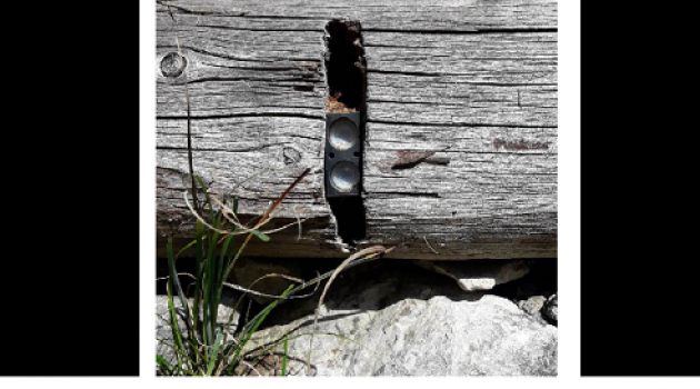 Un ecocontatore