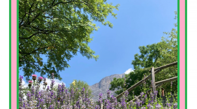 Giardino dell'orto botanico di Bormio