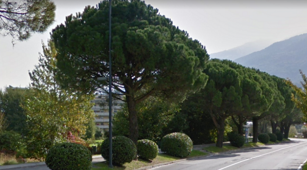 Via Giuliani a Sondrio