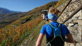 Valtellina Wine Trail 2015